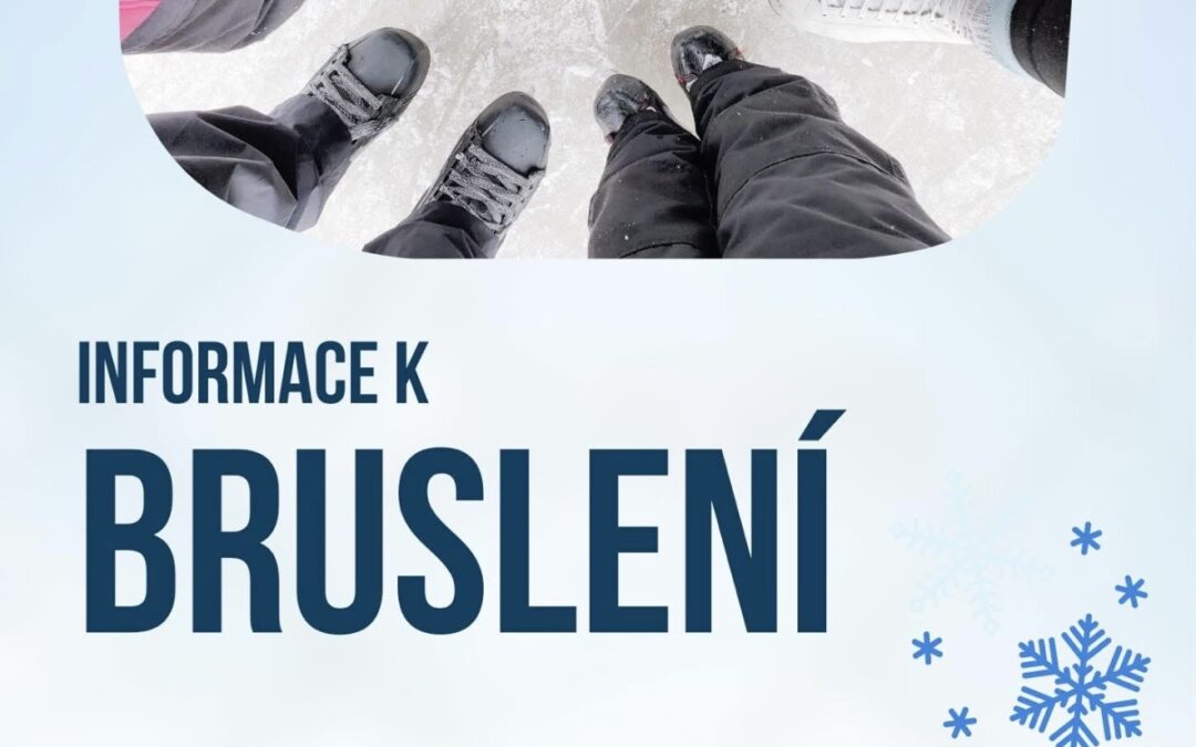Bruslení